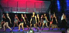 The Shows #1